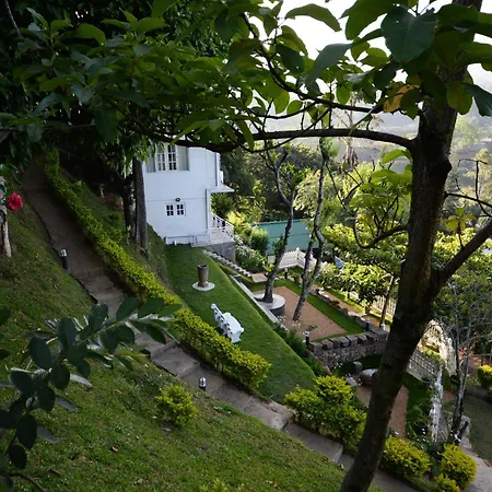Villa Perpetua-2